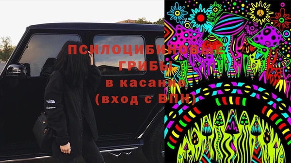 герыч Дмитров