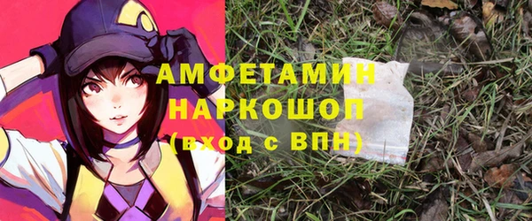 стаф Дмитриев