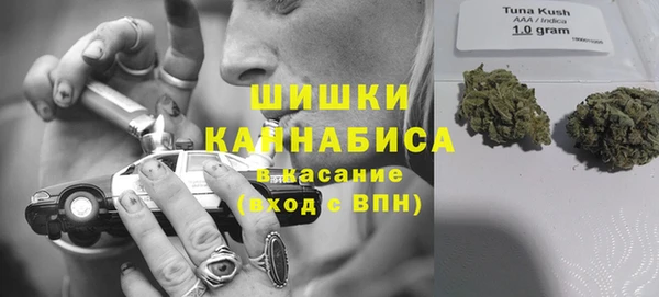 прущий лед Рославль