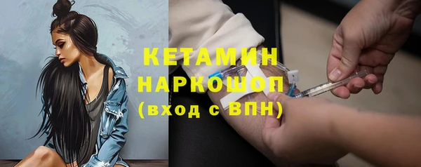 стаф Дмитриев