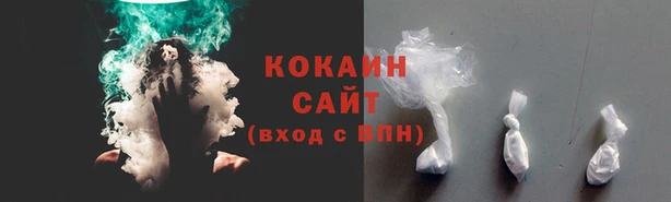 эйфоретик Гвардейск