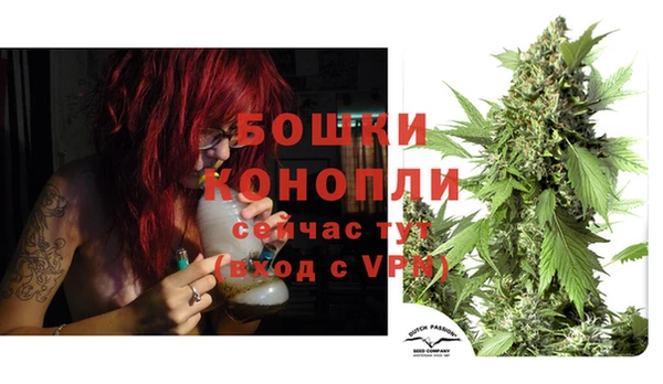 стаф Дмитриев