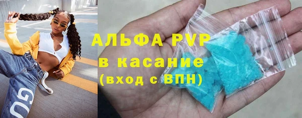 стаф Дмитриев