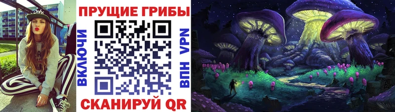 omg маркетплейс  Ефремов  Галлюциногенные грибы Psilocybine cubensis 